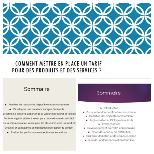 dossier regroupant la stratégie commerciale et marketing