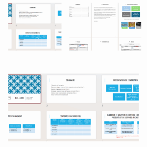 Pack complet E41 (E5) et 42 (E6) pour BTS MCO - Dossiers et présentation