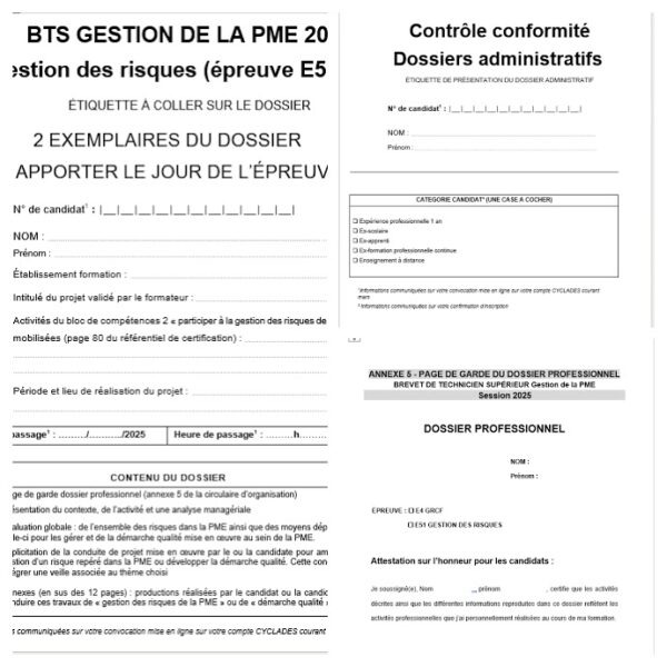 Pack E51 Gestion des risques BTS GPME