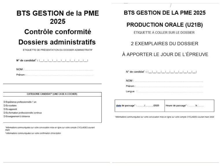 Dossier Anglais U21B BTS GPME - MLESW