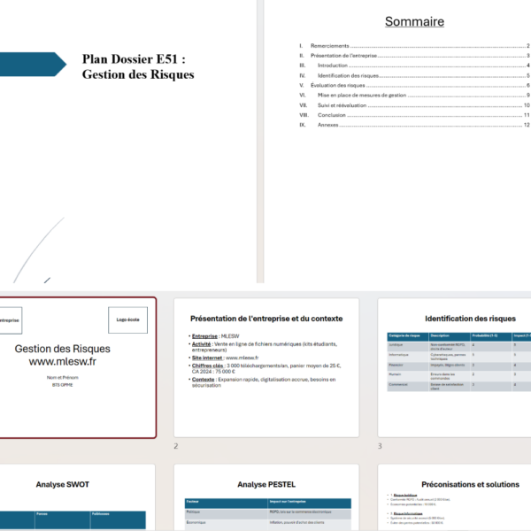 Pack E51 Gestion des risques BTS GPME