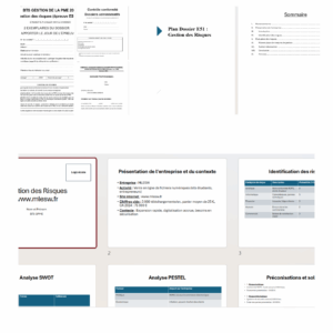 Pack E51 Gestion des risques BTS GPME