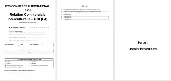 Dossier E4 BTS Commerce International