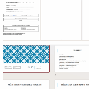 Dossier et présentation épreuve E4 BTS Commerce International