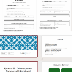 Kit complet dossiers et support présentation orale E4 et E6