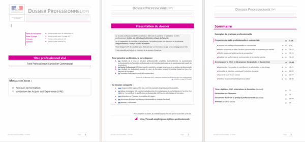 Extrait dossier professionnel TP Conseiller Commercial