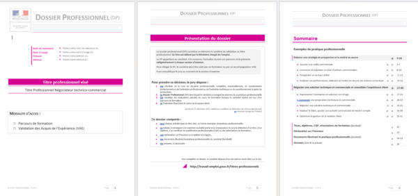 Extrait Dossier professionnel TP NTC