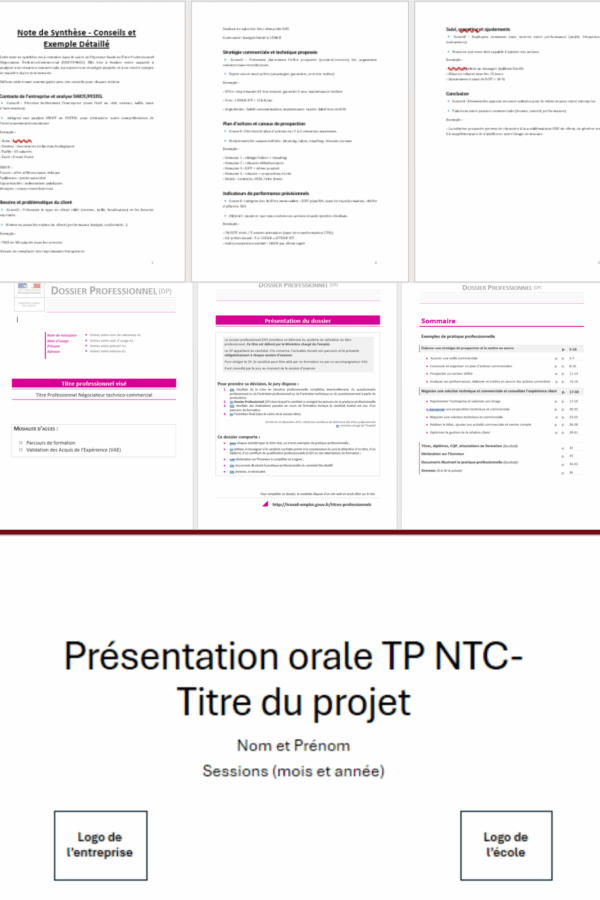 Extrait pack Titre professionnel Négociateur Technico Commercial
