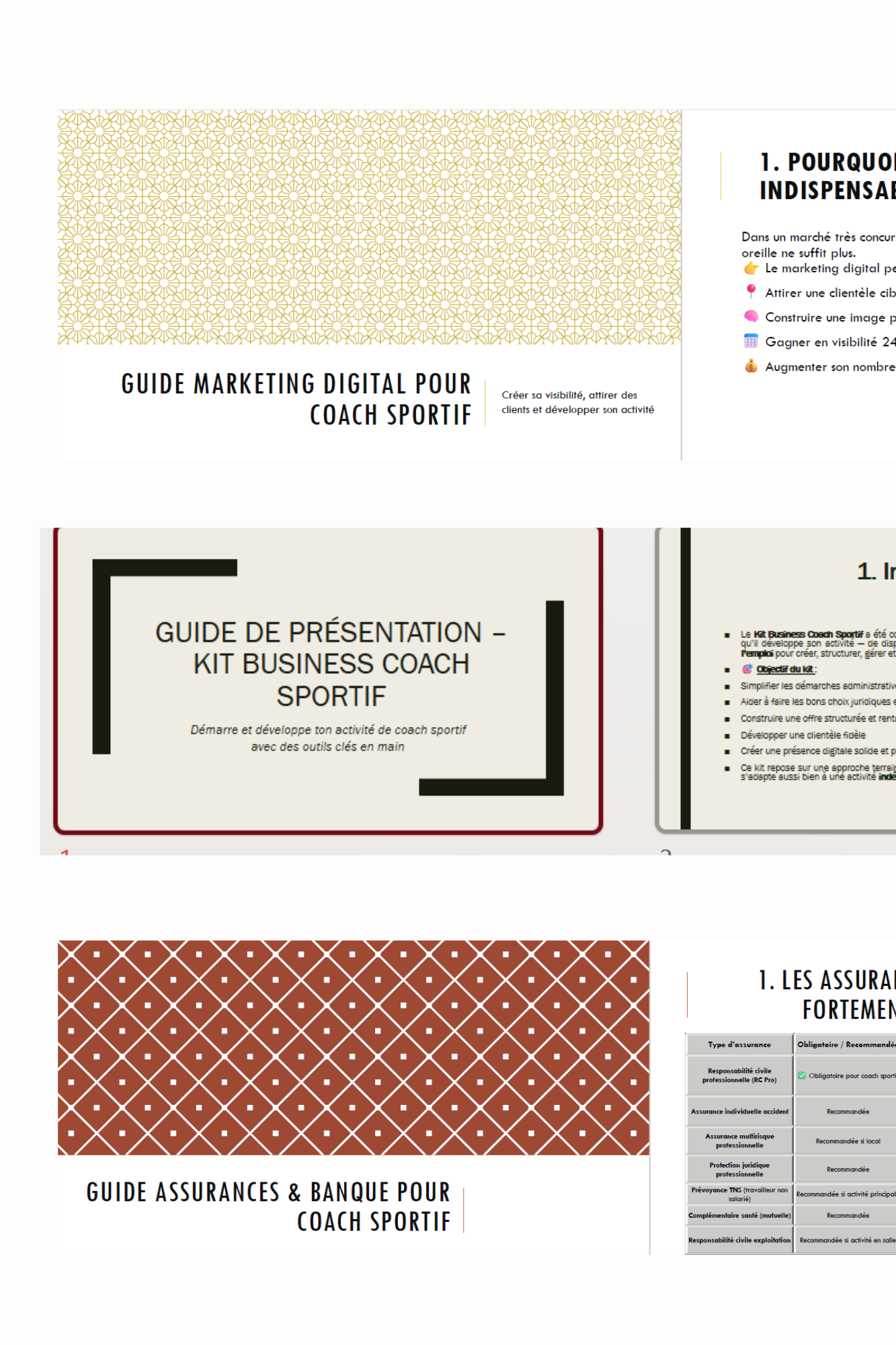 Extrait Kit Business Coach Sportif